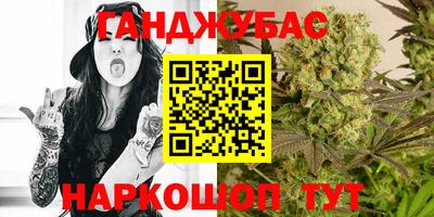 гашик Обь