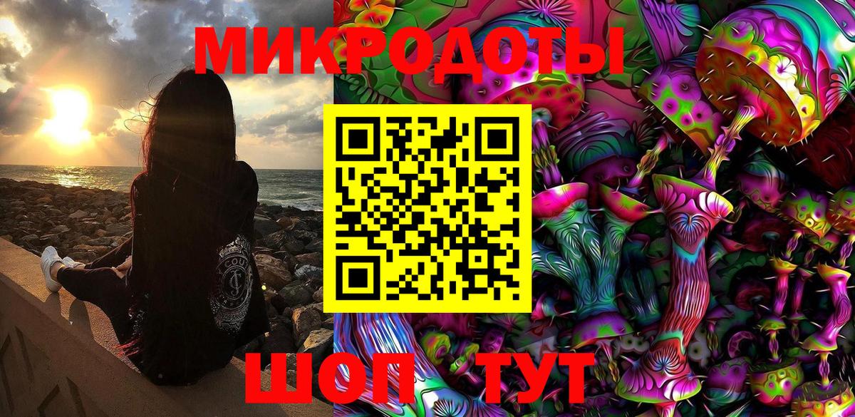 Псилоцибиновые грибы Psilocybine cubensis Рыбинск
