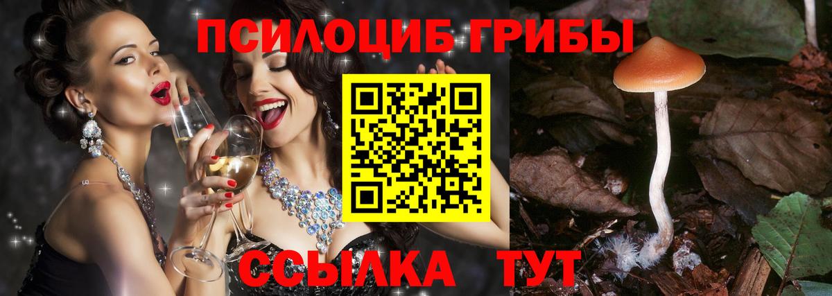 Псилоцибиновые грибы MAGIC MUSHROOMS  Вход с VPN  Рыбинск  Галлюциногенные грибы MAGIC MUSHROOMS 